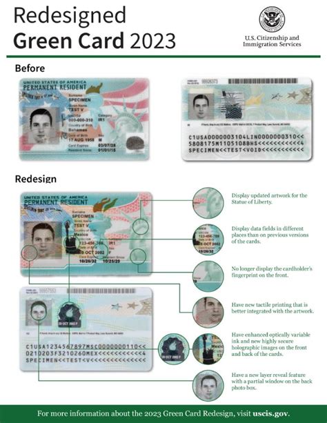 is ead card rfid|Decision Memorandum.